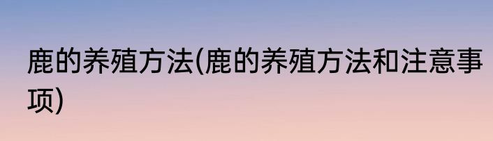 鹿的养殖方法(鹿的养殖方法和注意事项)
