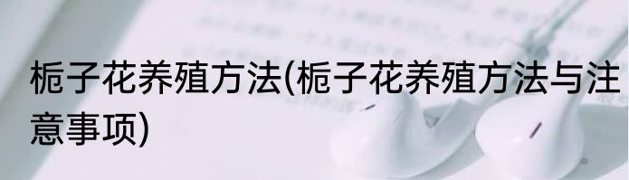 栀子花养殖方法(栀子花养殖方法与注意事项)