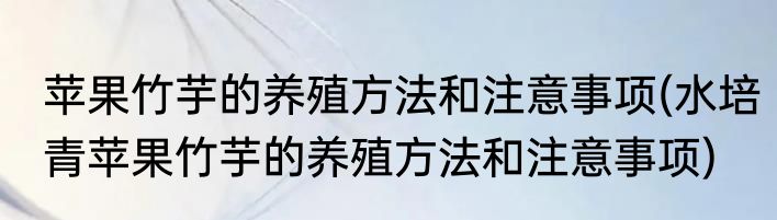 苹果竹芋的养殖方法和注意事项(水培青苹果竹芋的养殖方法和注意事项)