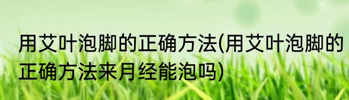 用艾叶泡脚的正确方法(用艾叶泡脚的正确方法来月经能泡吗)