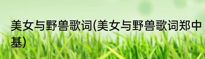 美女与野兽歌词(美女与野兽歌词郑中基)