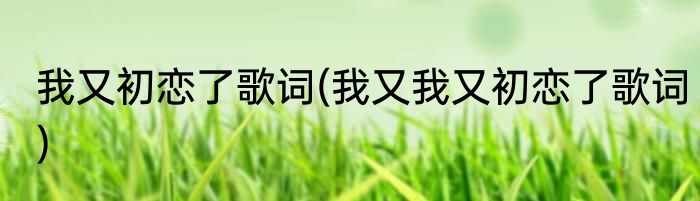 我又初恋了歌词(我又我又初恋了歌词)