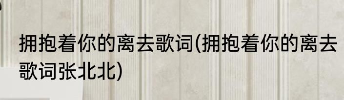 拥抱着你的离去歌词(拥抱着你的离去歌词张北北)