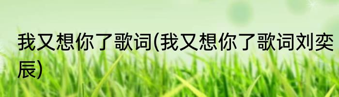 我又想你了歌词(我又想你了歌词刘奕辰)