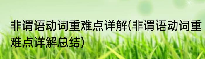 非谓语动词重难点详解(非谓语动词重难点详解总结)