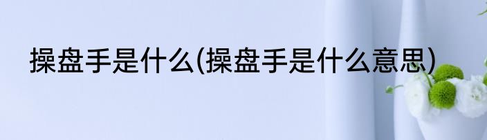 操盘手是什么(操盘手是什么意思)