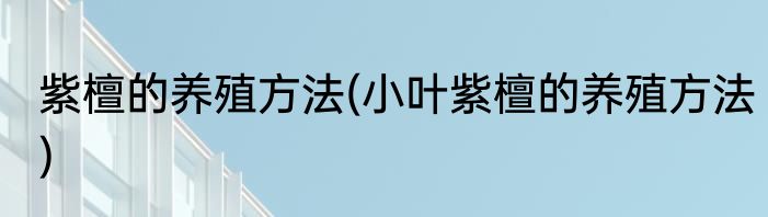 紫檀的养殖方法(小叶紫檀的养殖方法)