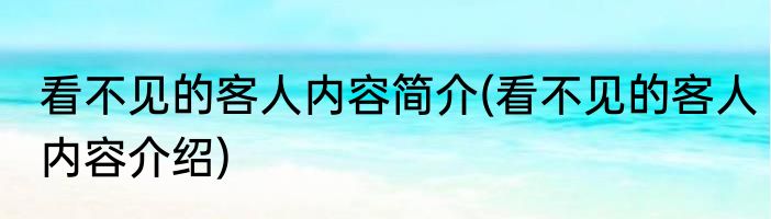 看不见的客人内容简介(看不见的客人内容介绍)