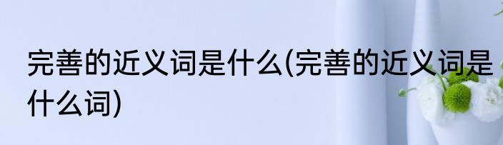 完善的近义词是什么(完善的近义词是什么词)