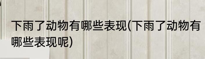 下雨了动物有哪些表现(下雨了动物有哪些表现呢)