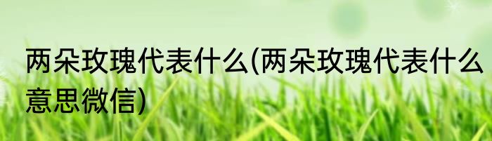 两朵玫瑰代表什么(两朵玫瑰代表什么意思微信)