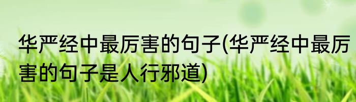 华严经中最厉害的句子(华严经中最厉害的句子是人行邪道)