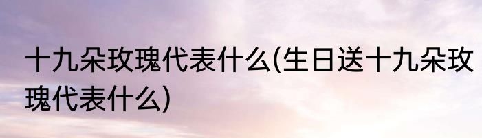 十九朵玫瑰代表什么(生日送十九朵玫瑰代表什么)