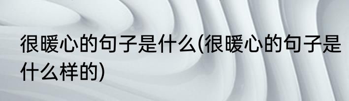 很暖心的句子是什么(很暖心的句子是什么样的)