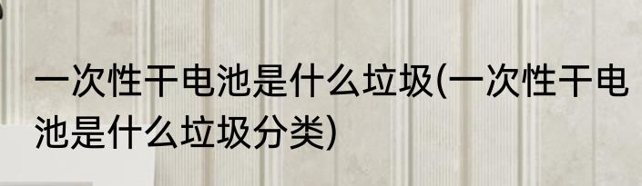 一次性干电池是什么垃圾(一次性干电池是什么垃圾分类)
