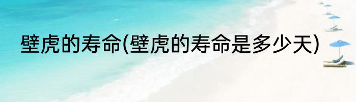 壁虎的寿命(壁虎的寿命是多少天)