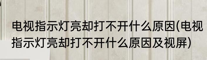 电视指示灯亮却打不开什么原因(电视指示灯亮却打不开什么原因及视屏)