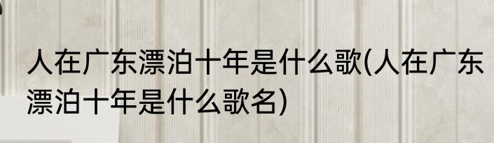 人在广东漂泊十年是什么歌(人在广东漂泊十年是什么歌名)