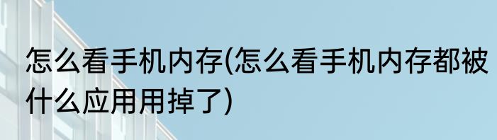 怎么看手机内存(怎么看手机内存都被什么应用用掉了)