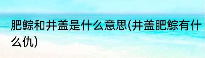 肥鯮和井盖是什么意思(井盖肥鯮有什么仇)