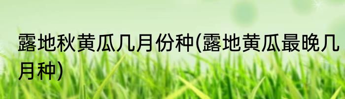 露地秋黄瓜几月份种(露地黄瓜最晚几月种)