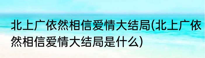 北上广依然相信爱情大结局(北上广依然相信爱情大结局是什么)