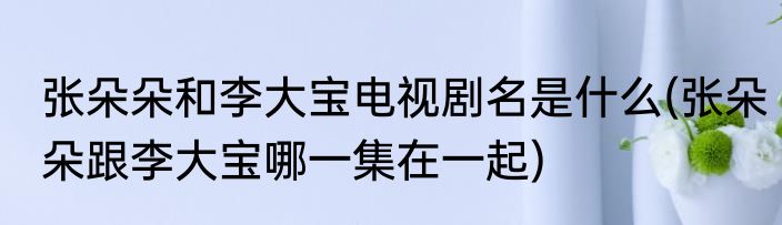 张朵朵和李大宝电视剧名是什么(张朵朵跟李大宝哪一集在一起)