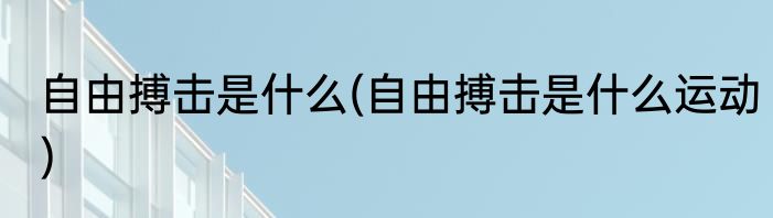 自由搏击是什么(自由搏击是什么运动)