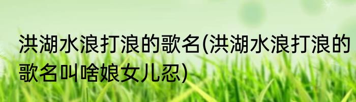 洪湖水浪打浪的歌名(洪湖水浪打浪的歌名叫啥娘女儿忍)