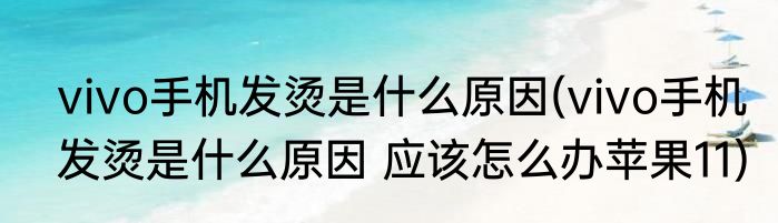 vivo手机发烫是什么原因(vivo手机发烫是什么原因 应该怎么办苹果11)