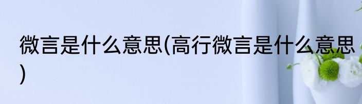 微言是什么意思(高行微言是什么意思)