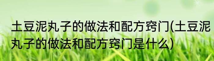 土豆泥丸子的做法和配方窍门(土豆泥丸子的做法和配方窍门是什么)