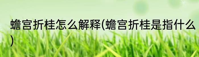 蟾宫折桂怎么解释(蟾宫折桂是指什么)