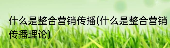什么是整合营销传播(什么是整合营销传播理论)