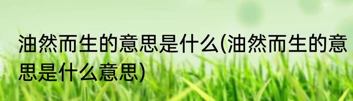 油然而生的意思是什么(油然而生的意思是什么意思)