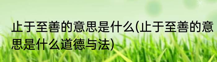 止于至善的意思是什么(止于至善的意思是什么道德与法)