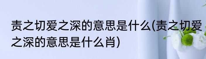 责之切爱之深的意思是什么(责之切爱之深的意思是什么肖)
