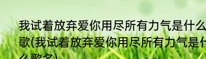 我试着放弃爱你用尽所有力气是什么歌(我试着放弃爱你用尽所有力气是什么歌名)
