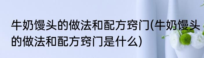 牛奶馒头的做法和配方窍门(牛奶馒头的做法和配方窍门是什么)