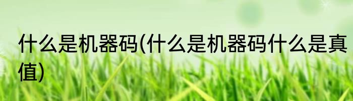 什么是机器码(什么是机器码什么是真值)