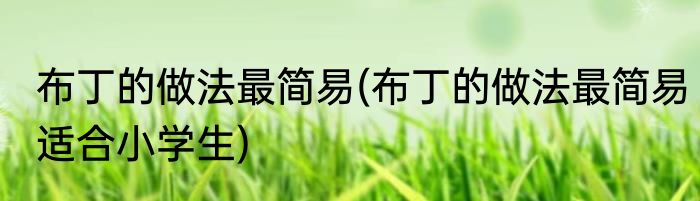 布丁的做法最简易(布丁的做法最简易适合小学生)