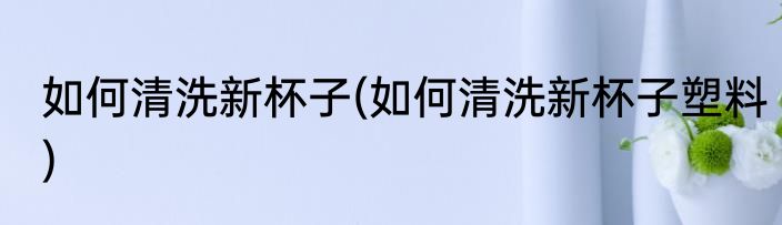 如何清洗新杯子(如何清洗新杯子塑料)