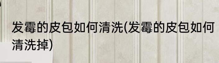 发霉的皮包如何清洗(发霉的皮包如何清洗掉)