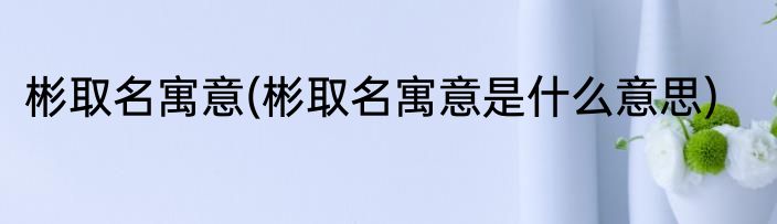 彬取名寓意(彬取名寓意是什么意思)