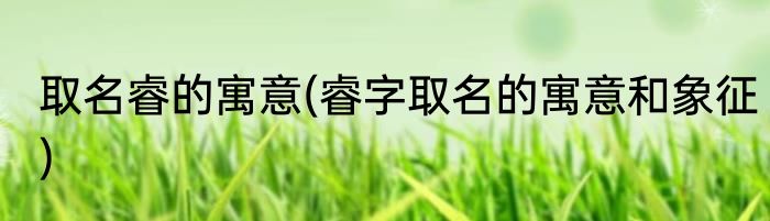 取名睿的寓意(睿字取名的寓意和象征)