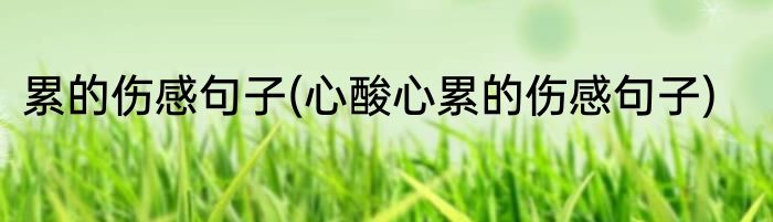 累的伤感句子(心酸心累的伤感句子)