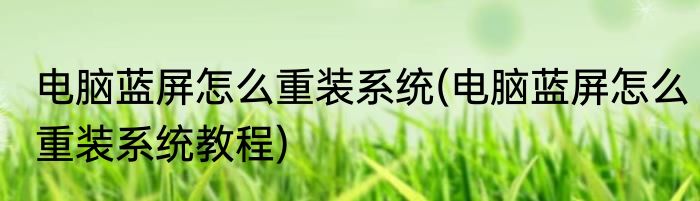 电脑蓝屏怎么重装系统(电脑蓝屏怎么重装系统教程)