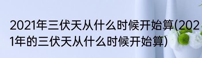 2021年三伏天从什么时候开始算(2021年的三伏天从什么时候开始算)