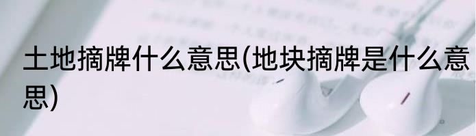 土地摘牌什么意思(地块摘牌是什么意思)