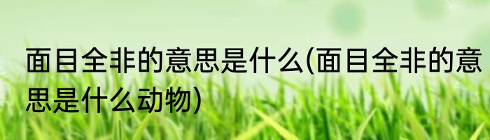 面目全非的意思是什么(面目全非的意思是什么动物)